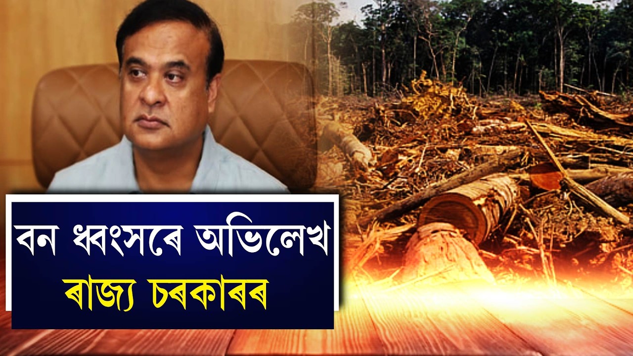 বন ধ্বংসৰে অভিলেখ ৰাজ্য চৰকাৰৰ
