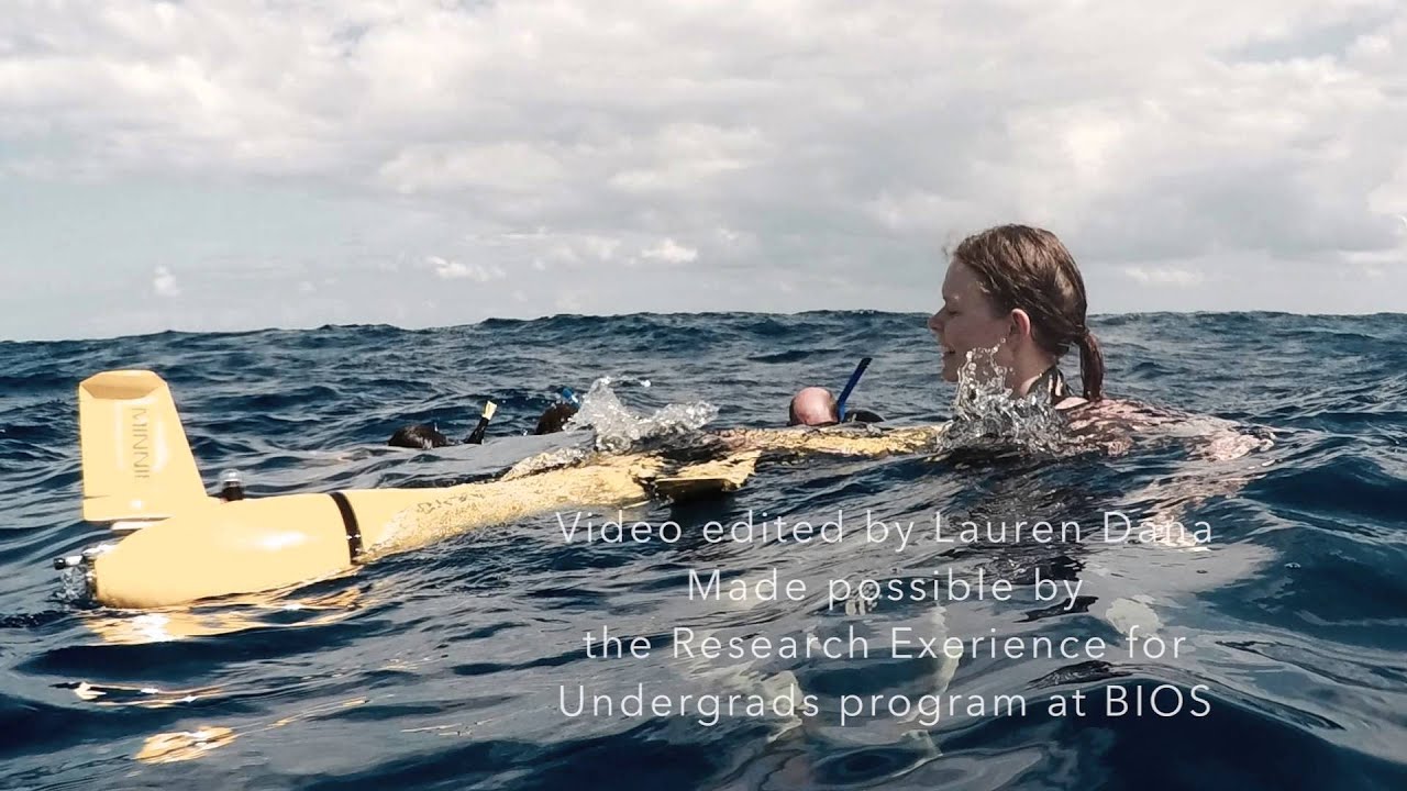 REU at BIOS-Ocean Glider