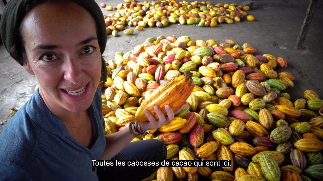 Communauté Cacao #Sao Tomé