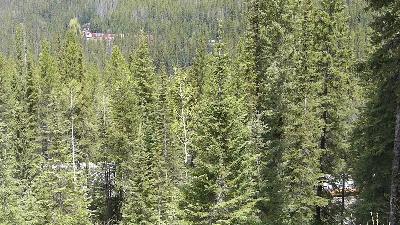 CPKC stacks through the lower Spiral tunnel