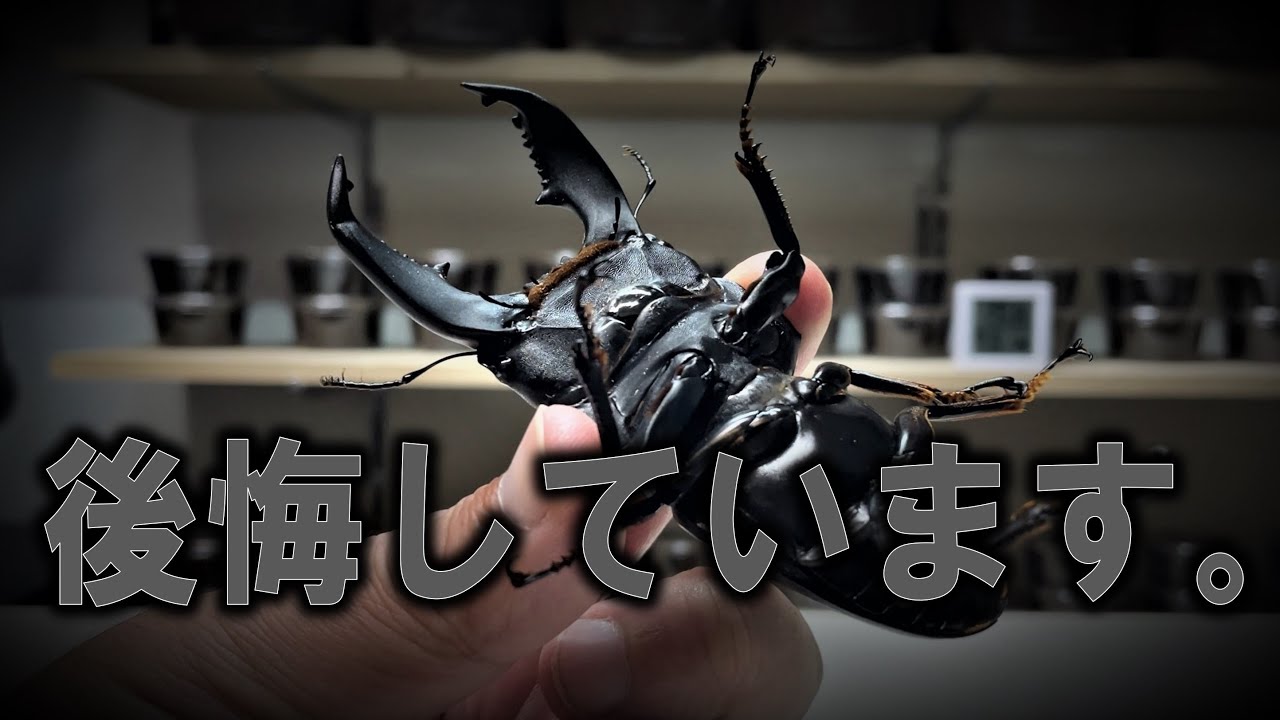 なんて間抜けなんだ…悔やんでも悔やみきれないことがあります。