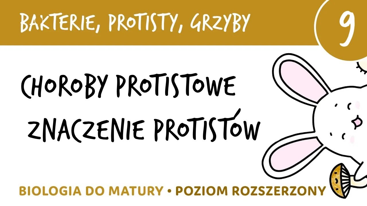 Bakterie protisty i grzyby 9 🦠Choroby protistowe, znaczenie protist&oacute;w - biologia do matury