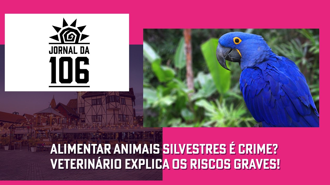 Alimentar Animais Silvestres é Crime? Veterinário Explica os Riscos Graves!