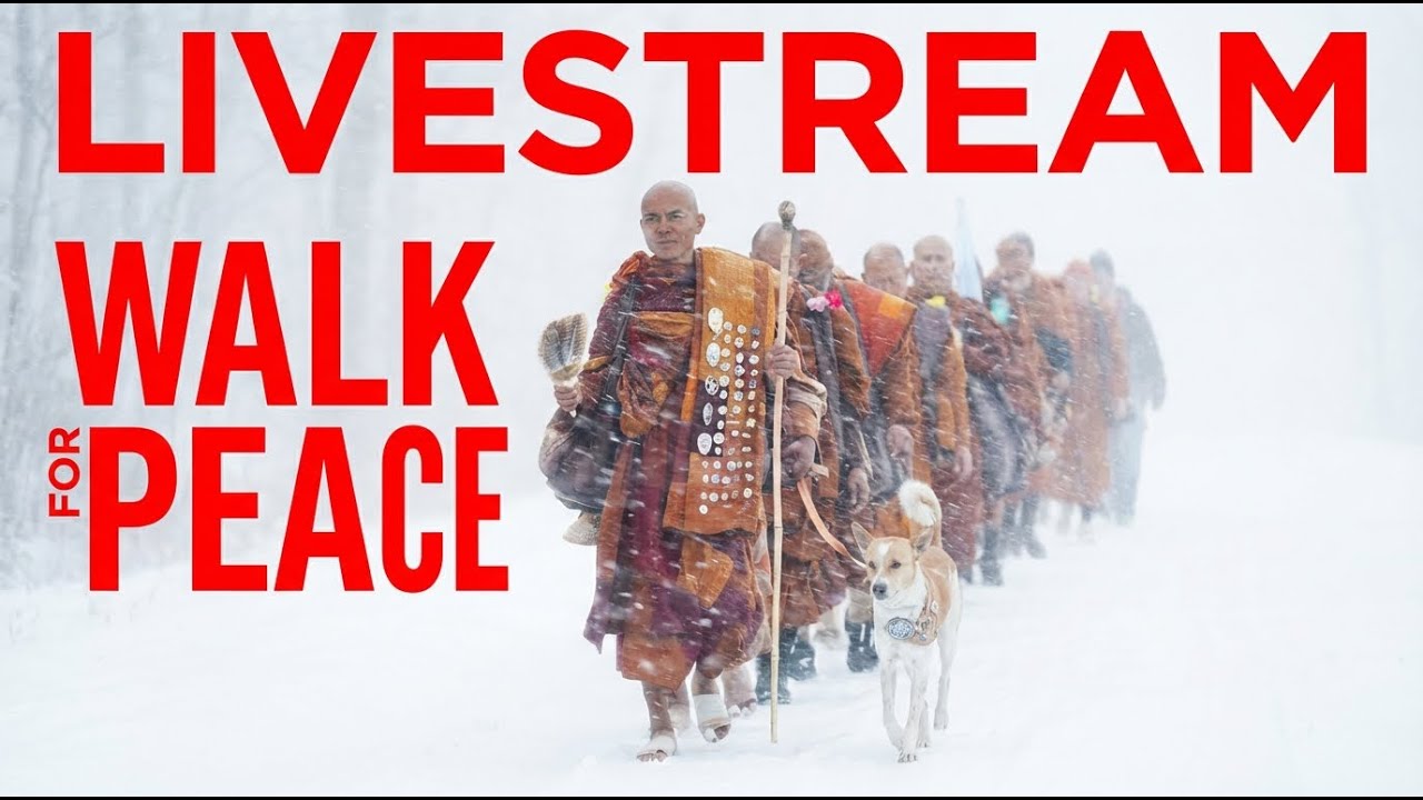🔴 Livestream: Today’s arrival at our lunch rest stop on Day 98 | Walk for Peace