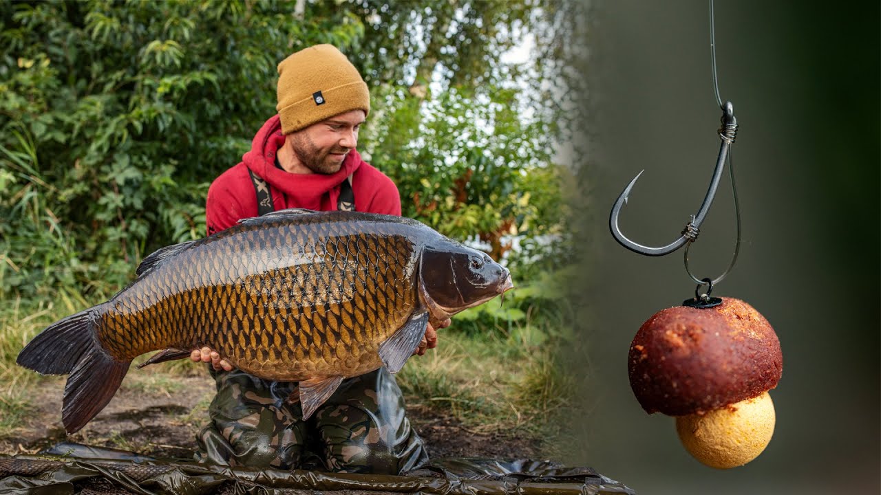 Das D-Rig | Das ULTIMATIVE Rig zum Karpfenangeln 🔥