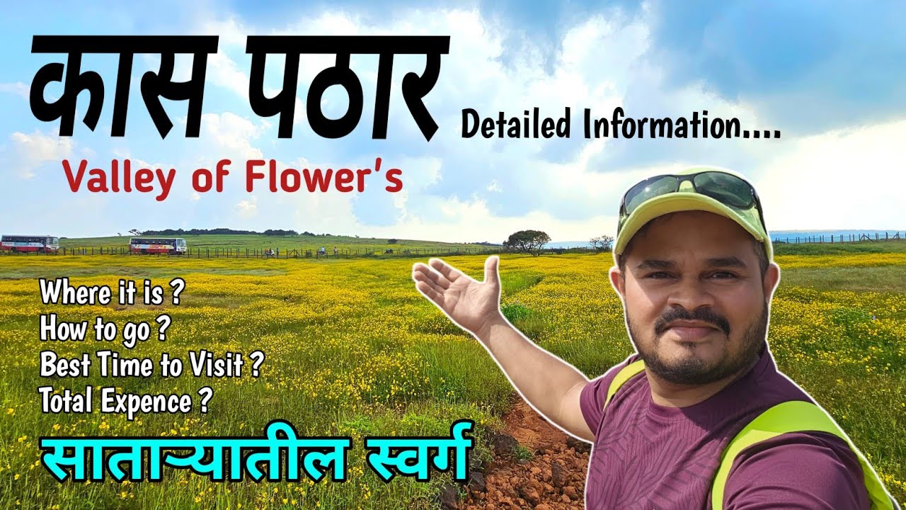 Kaas Pathar Satara 2023 l साताऱ्यातील स्वर्ग l Kaas Plateau l Valley of Flowers in Maharashtra