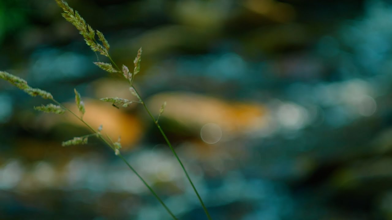 Keane Wang - Misty River (relaxing piano music/528 hz healing frequency)
