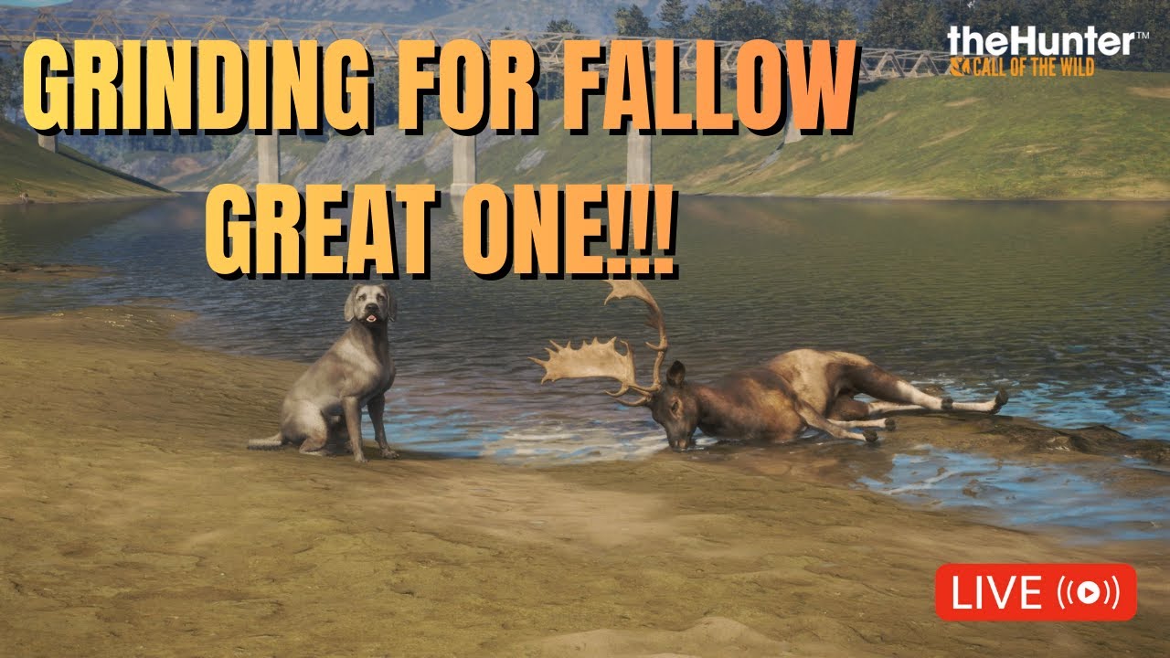 Grinding for GREAT ONE Fallow Deer -  Hunter Call of The Wild