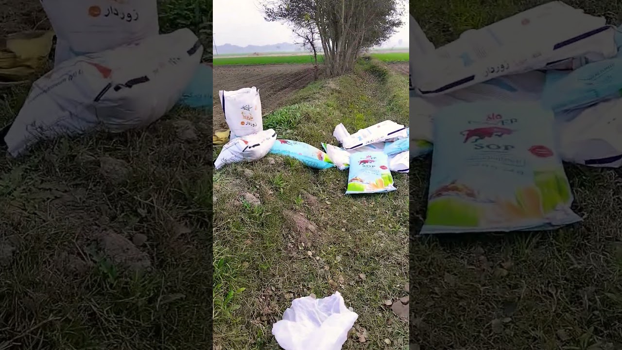 #music
