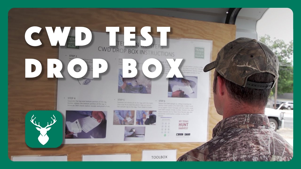 How to Use a CWD Test Drop Box