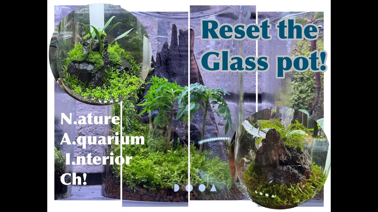 Reset the Glass pot!