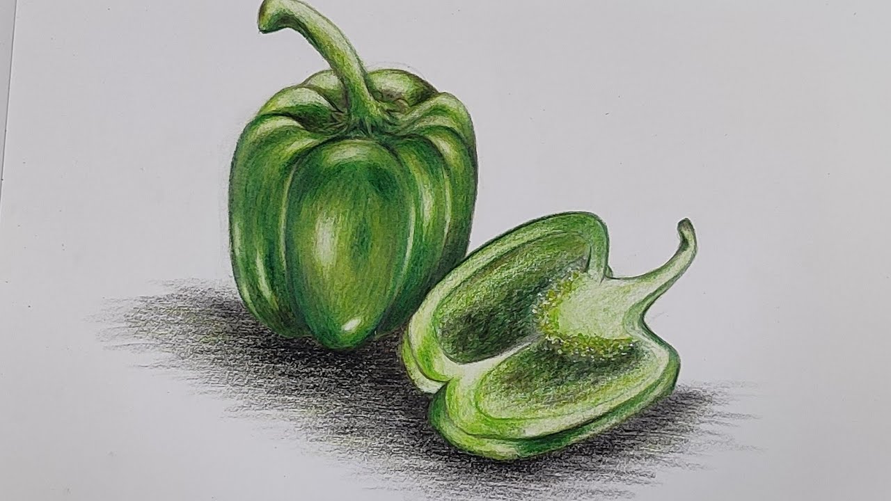 CAPSICUM||REALISTIC||COLOR PENCIL SHADING