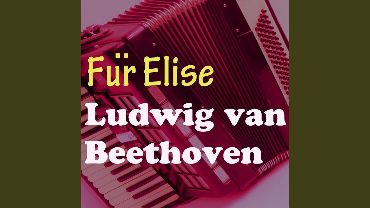 F&uuml;r Elise, WoO 59 (Fliegen Akkordeon Version)