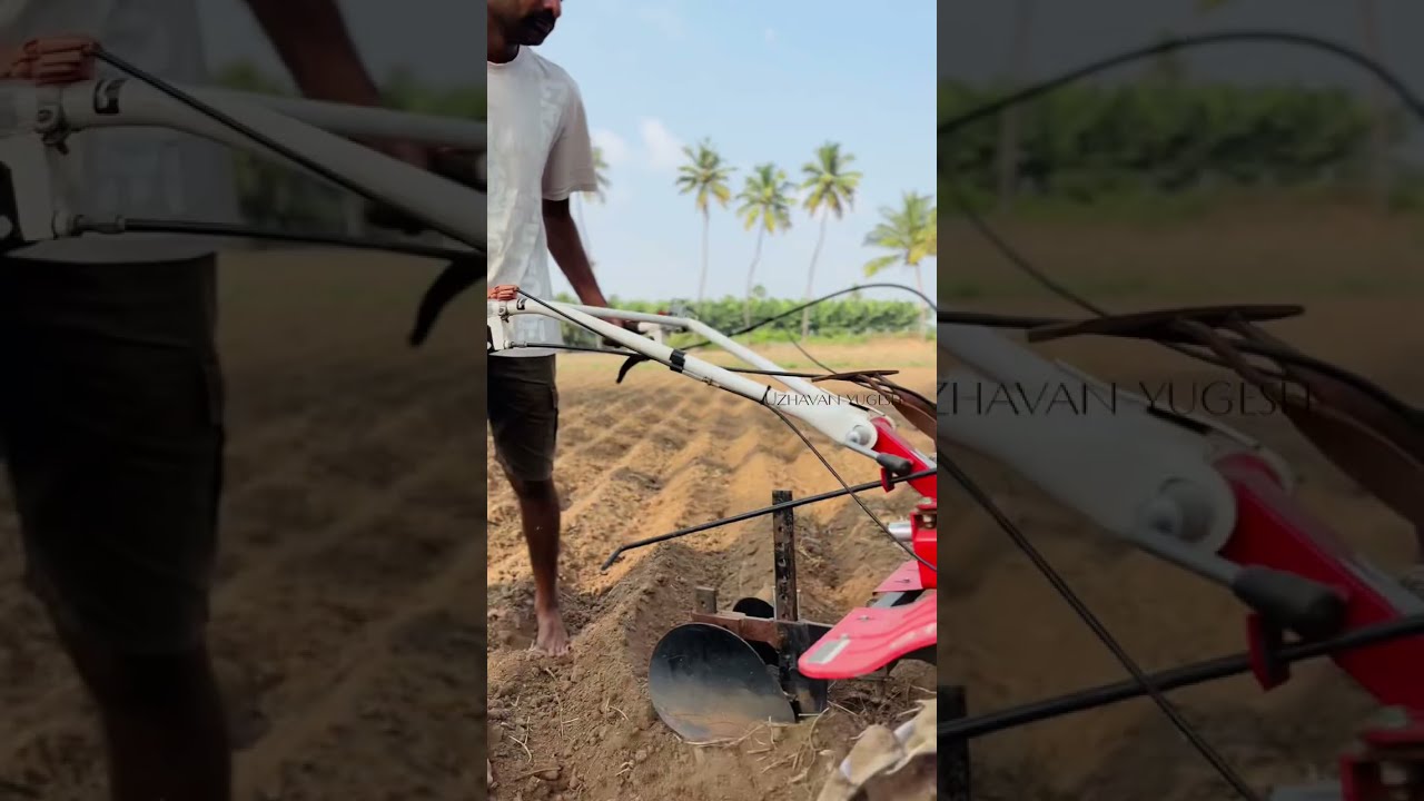 7hp பவர் வீடரில் 1.5அடி பார் ஓட்டி செங்கீரை விதை விதைத்து நீர் பாசனம் வரை