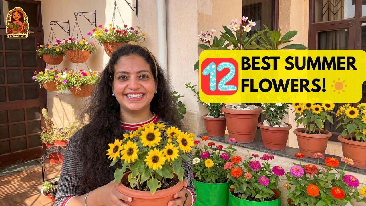 EASY Indian Balcony Gardening: Ye 12 Summer Flowers Har Koi Laga Sakta Hai! ✨