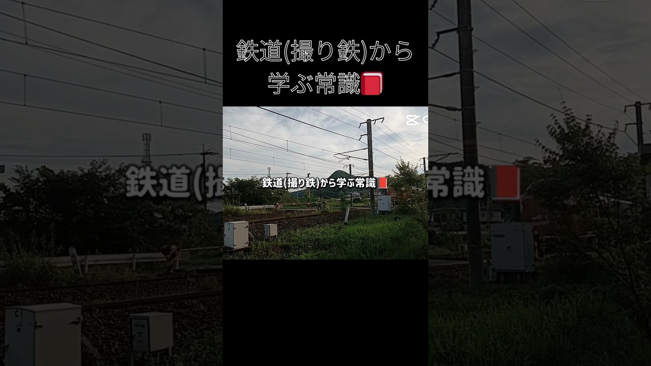鉄道(撮り鉄)から学ぶ常識　　#鉄道 #273系 #381系 #115系 #常識 #ばずれ