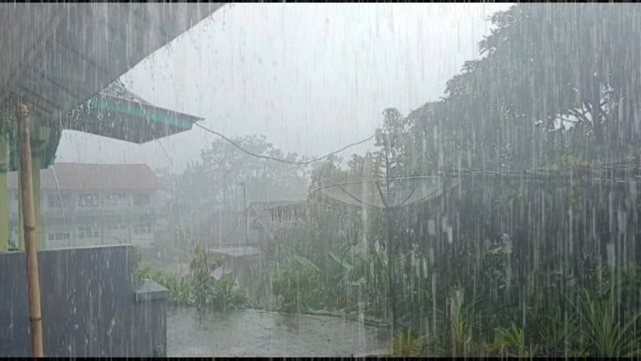 Звуки сильного дождя 🌧️ Быстро засните, успокойте свой разум и избавьтесь от бессонницы