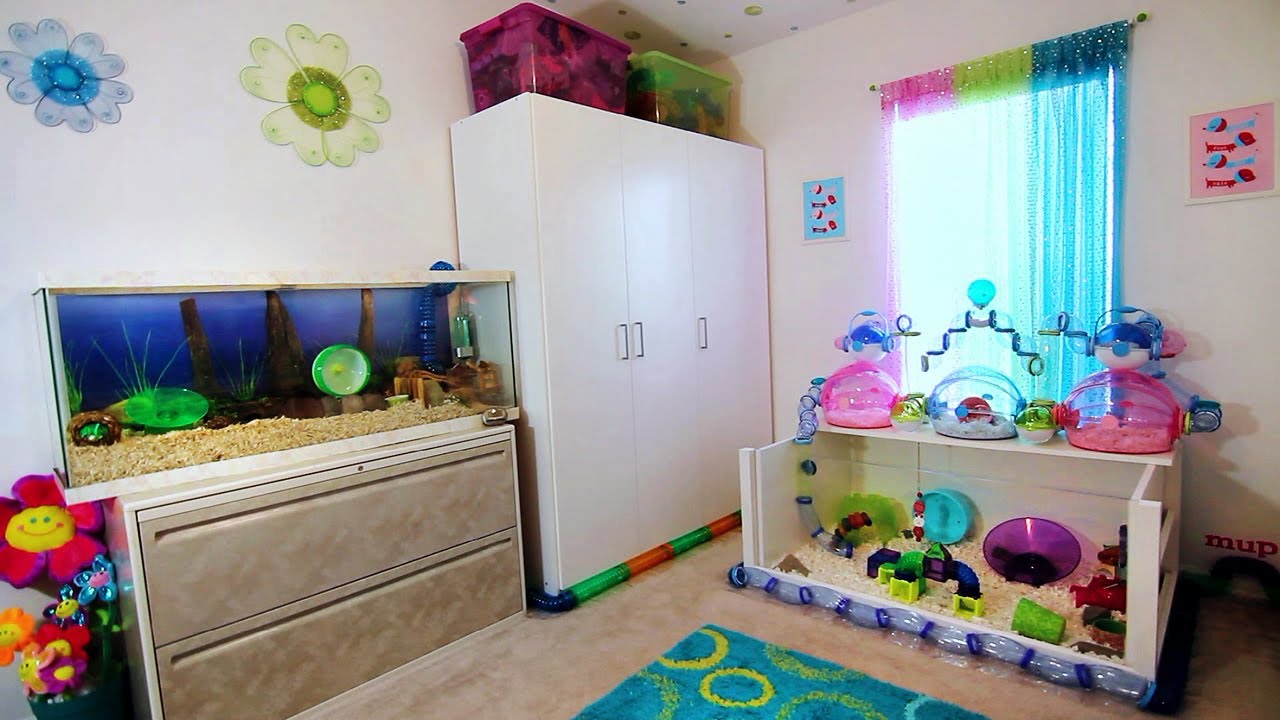 HAMSTER ROOM TOUR + FROZEN!