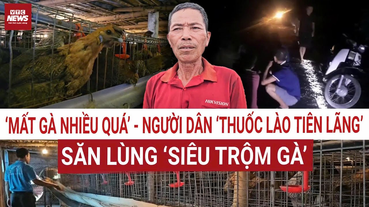 ‘Mất gà nhiều quá’! Người dân ‘thuốc lào Tiên Lãng’ thức trắng xuyên đêm bắt ‘siêu trộm gà’