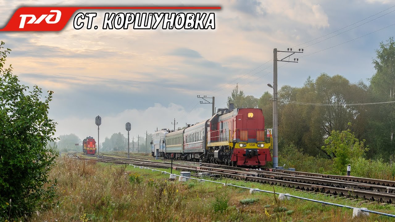 Туманная Коршуновка во время комиссионного осмотра линии. Пропуск поездов по боковому пути