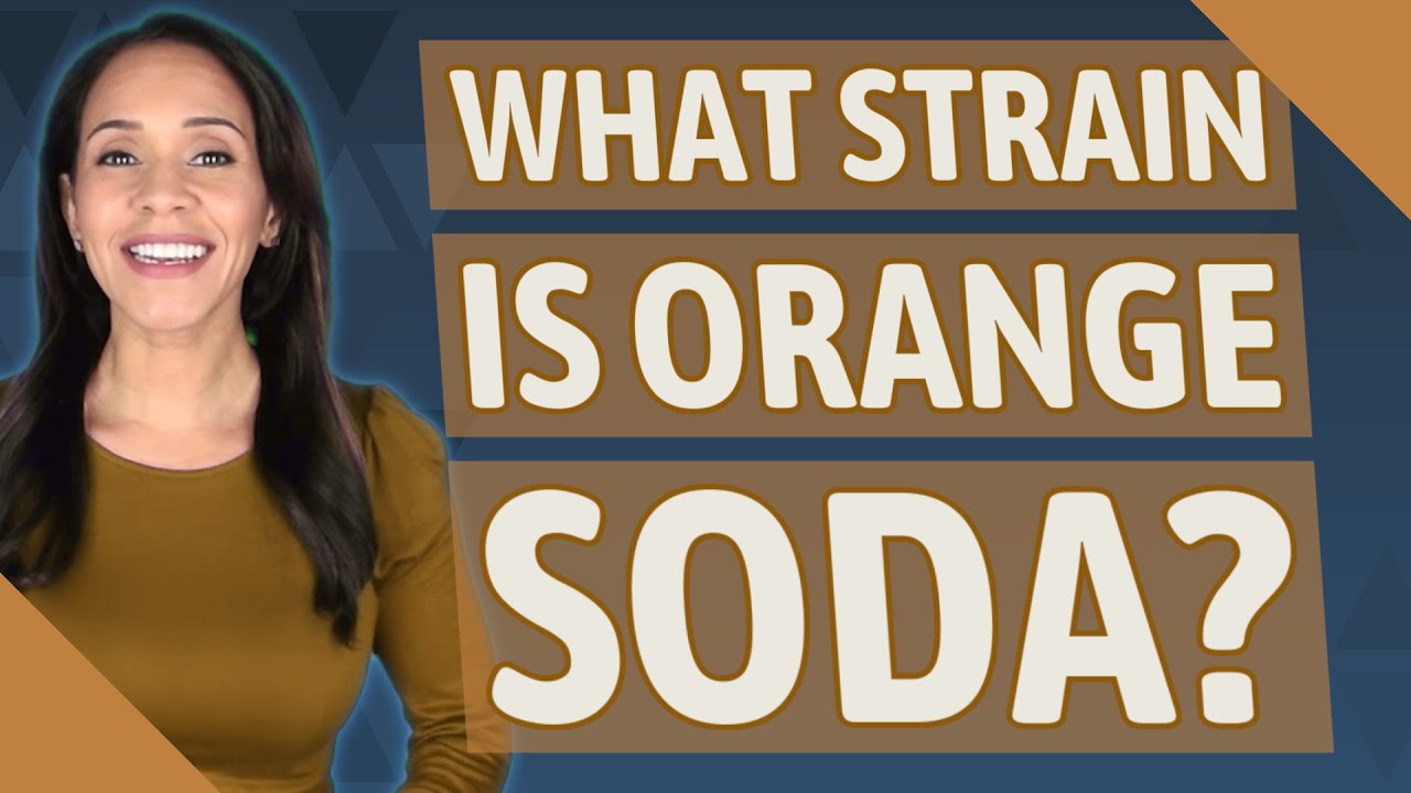 What strain is orange soda?
