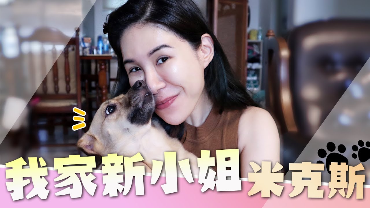 生活起了大變化~我家新成員胖皮小姐登場