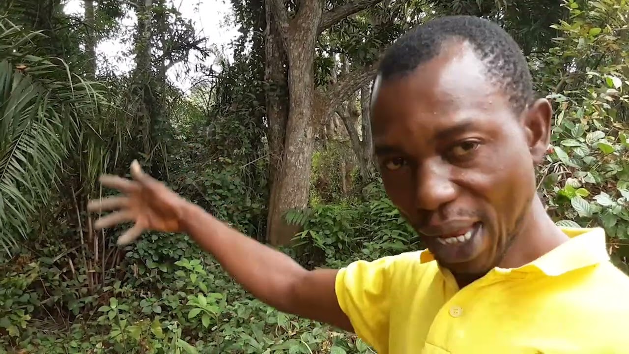 TOUT SAVOIR SUR NSIAMFUMU