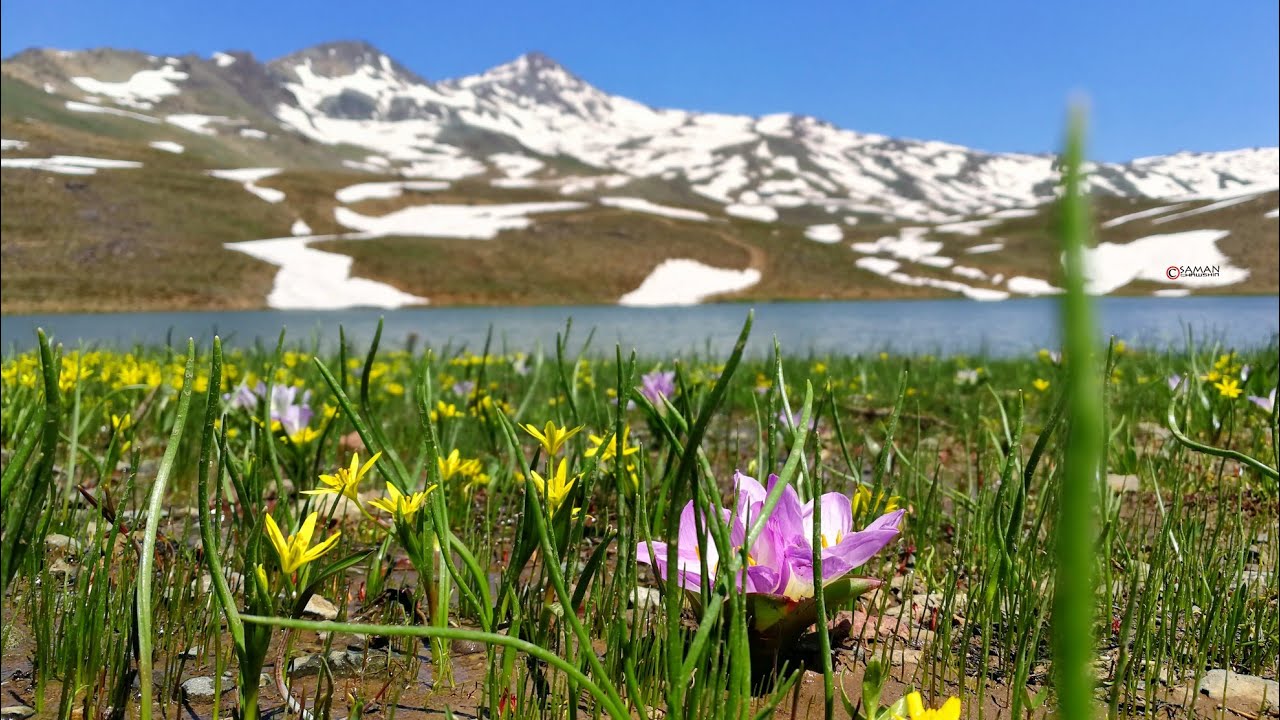 سروشتی برادۆست