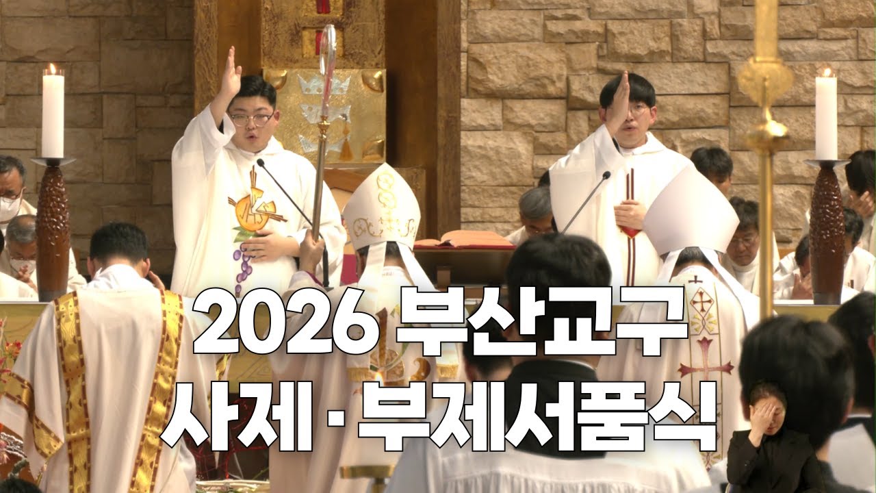 | 가톨릭신문 | 새 사제 강복 받고가세요~🙏 | 2026년 부산교구 사제·부제 서품식 하이라이트