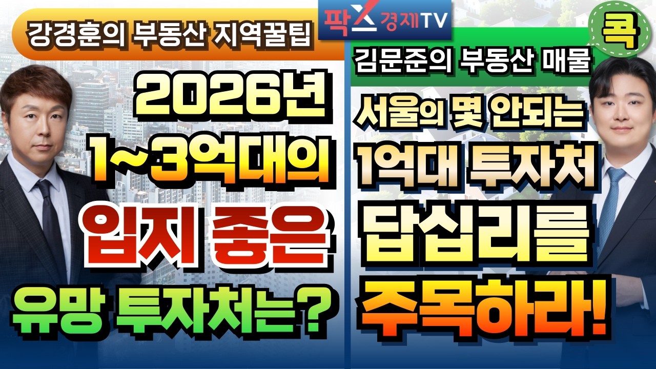 1~3억대 재개발 투자 유망지역은 어디? / 재개발 모아타운 기대감 본격 반영전인 '동대문구 답십리동' [260223 부동산 고민 무엇이든 물어보세요]