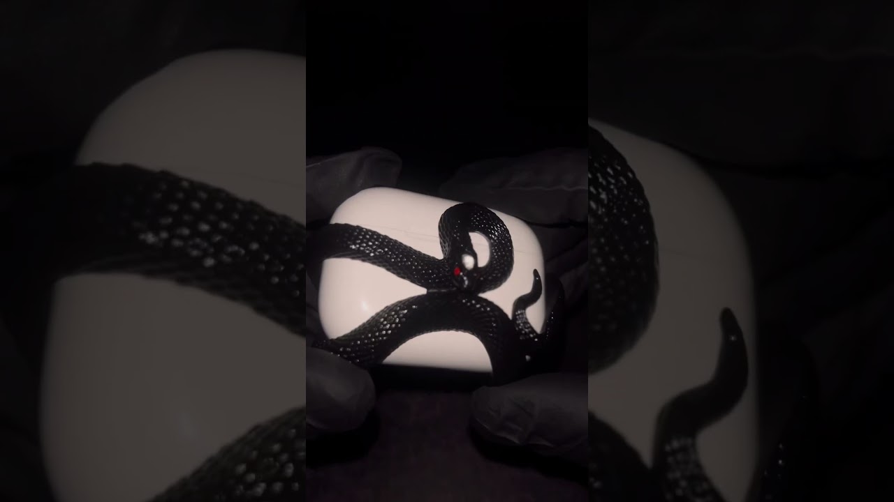 Coolest AirPod Case😈🐍 #airpods #airpodcase