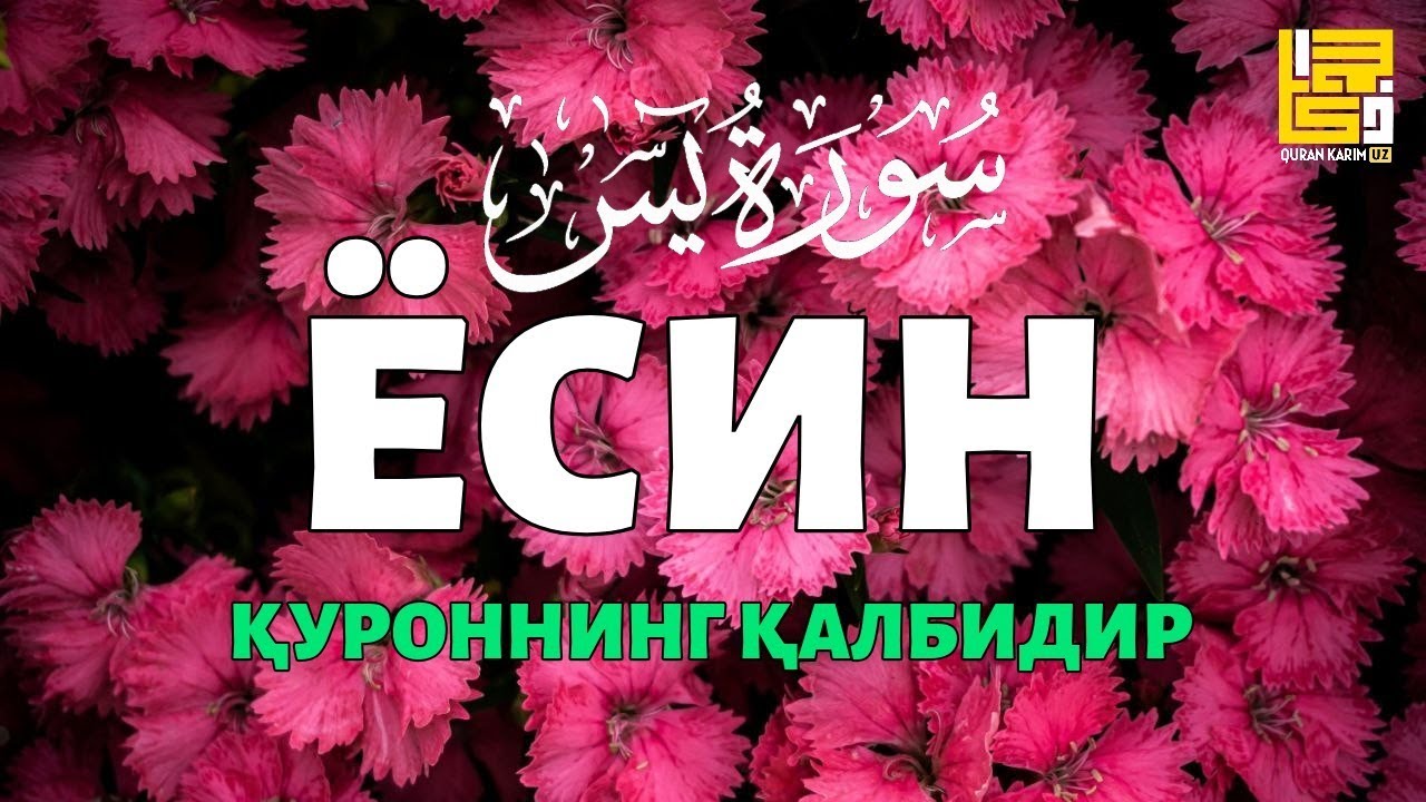 Ясин сураси, Қуръоннинг қалбидир! Quran Karim UZ