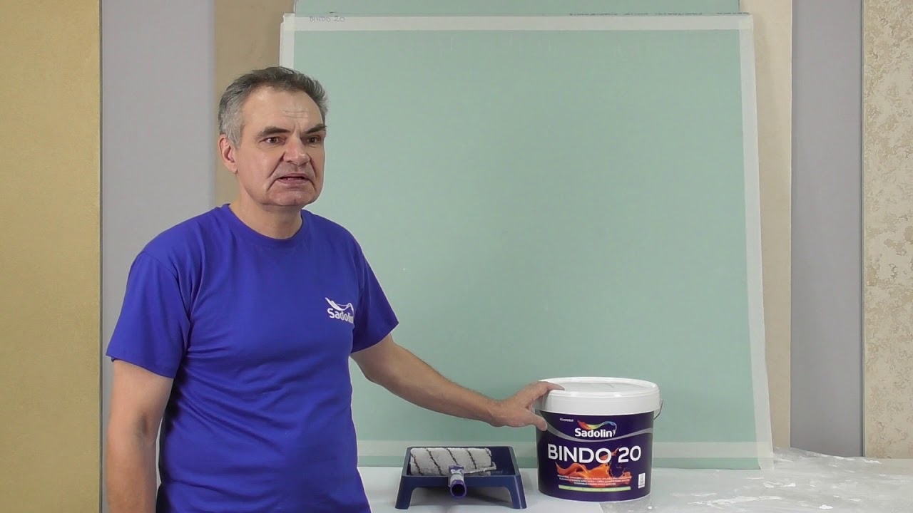 Интерьерная краска для стен как выбрать? Сравнения красок от ТМ Sadolin