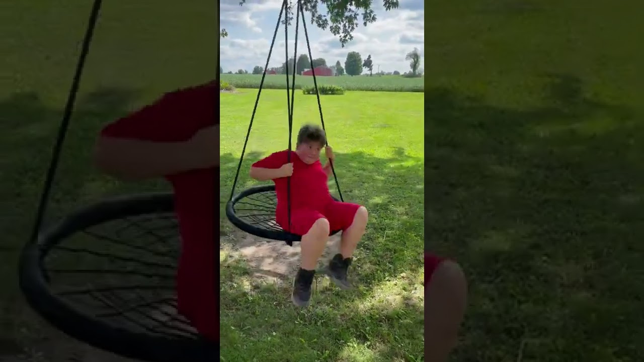 Spin