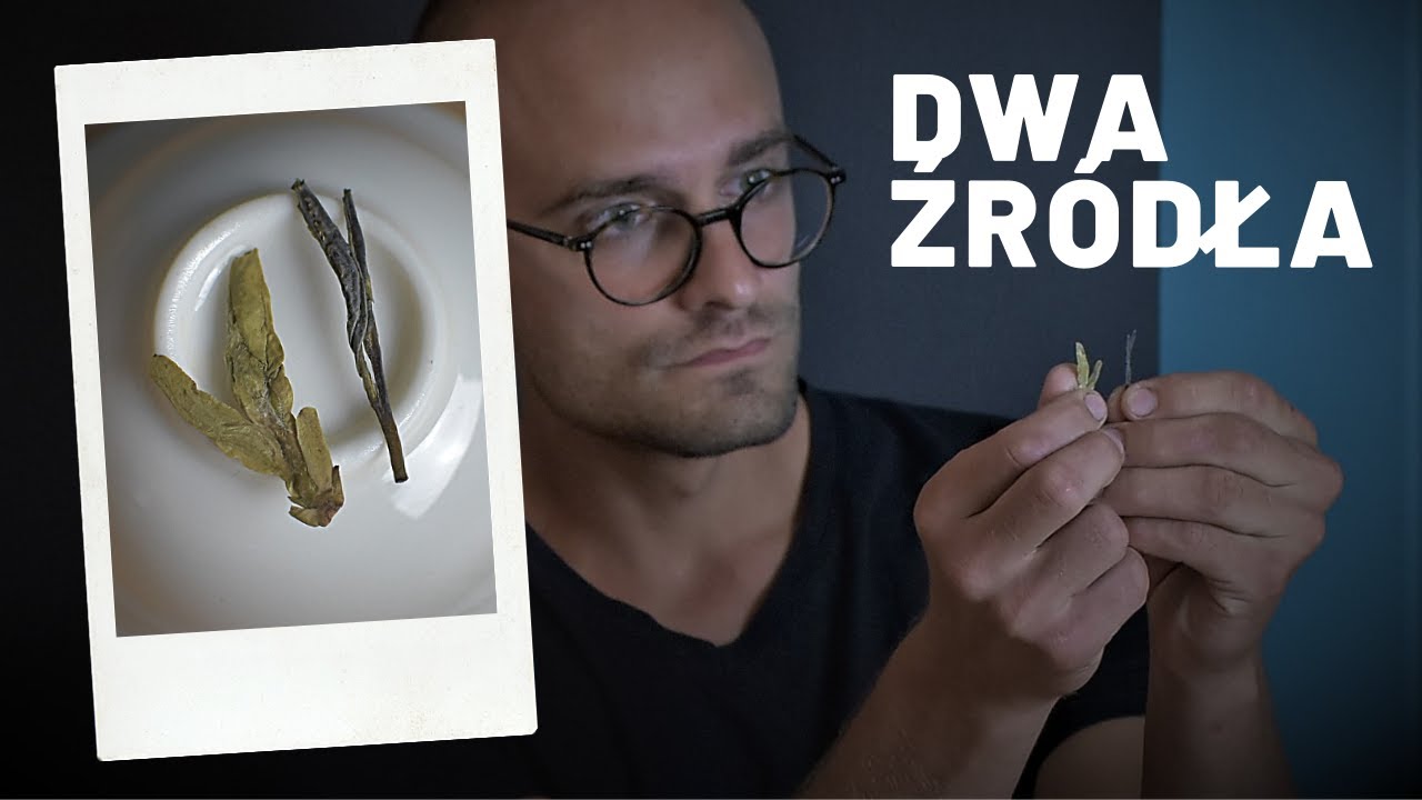 Long Jing / Smocza Studnia - zielona herbata. Jak smakuje? Jak przechowywać?