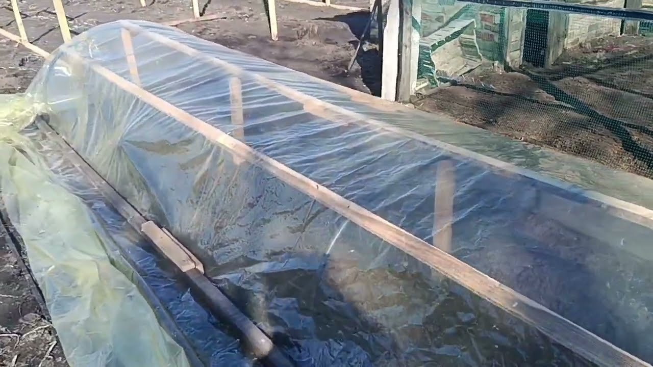 Туннельный парник из г... и палок