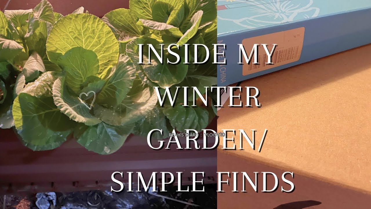 Season: 4 My small winter garden w/ the lowest temp of 32 & highest 60s & essentials for the garden.