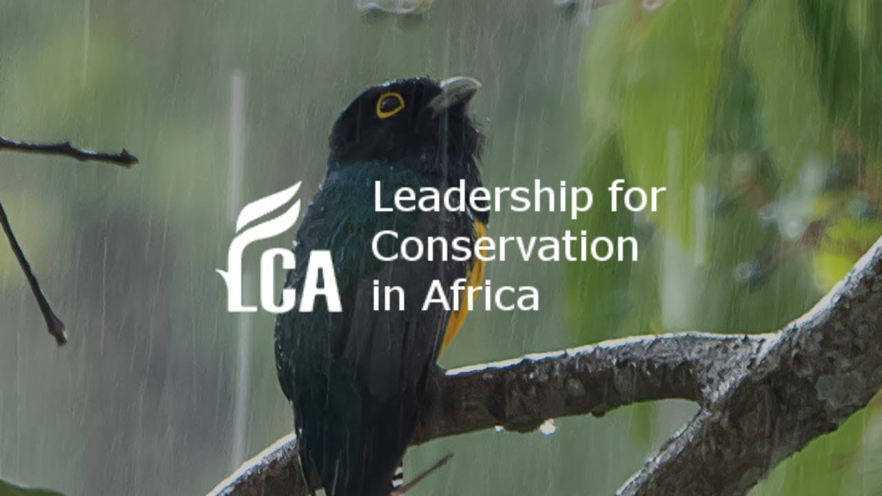 Climate refugia in wildlife conservation