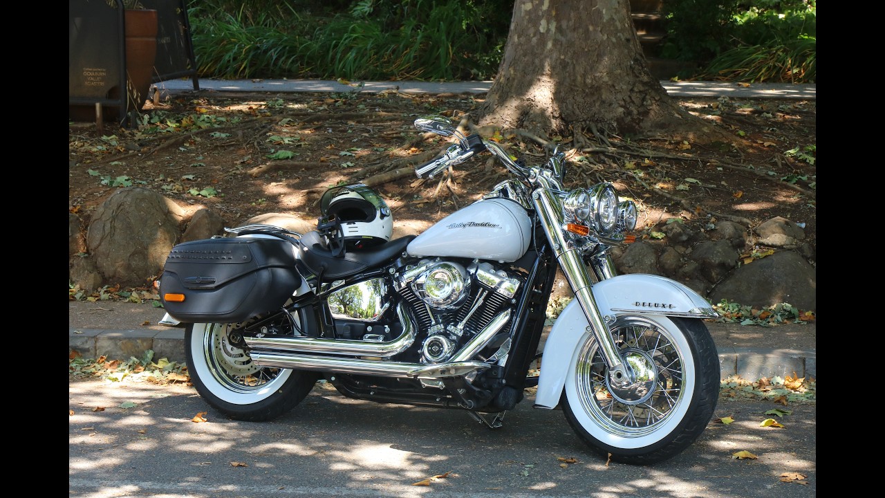 Healesville to Steavenson Falls | Black Spur on a Harley | 34°C Ride