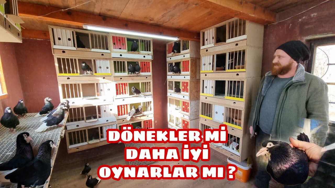 KARADENİZLİ AHMET TOPALOĞLU VE MURAT ÖRSOĞLU  BİRLİKTE KÖY HAYATININ TADINI BAKIN NE ÇEŞİTLERLE ALDI