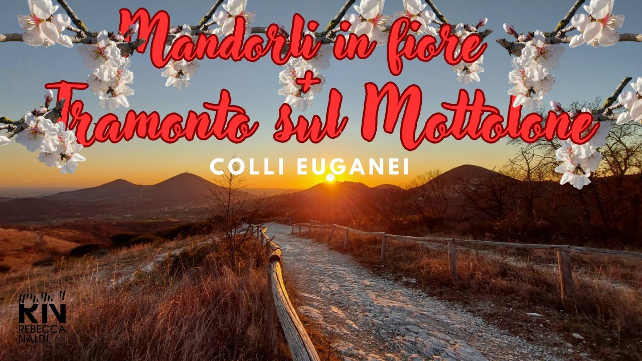 Mandorli in fiore e tramonto sul Pianoro del Mottolone (Colli Euganei)