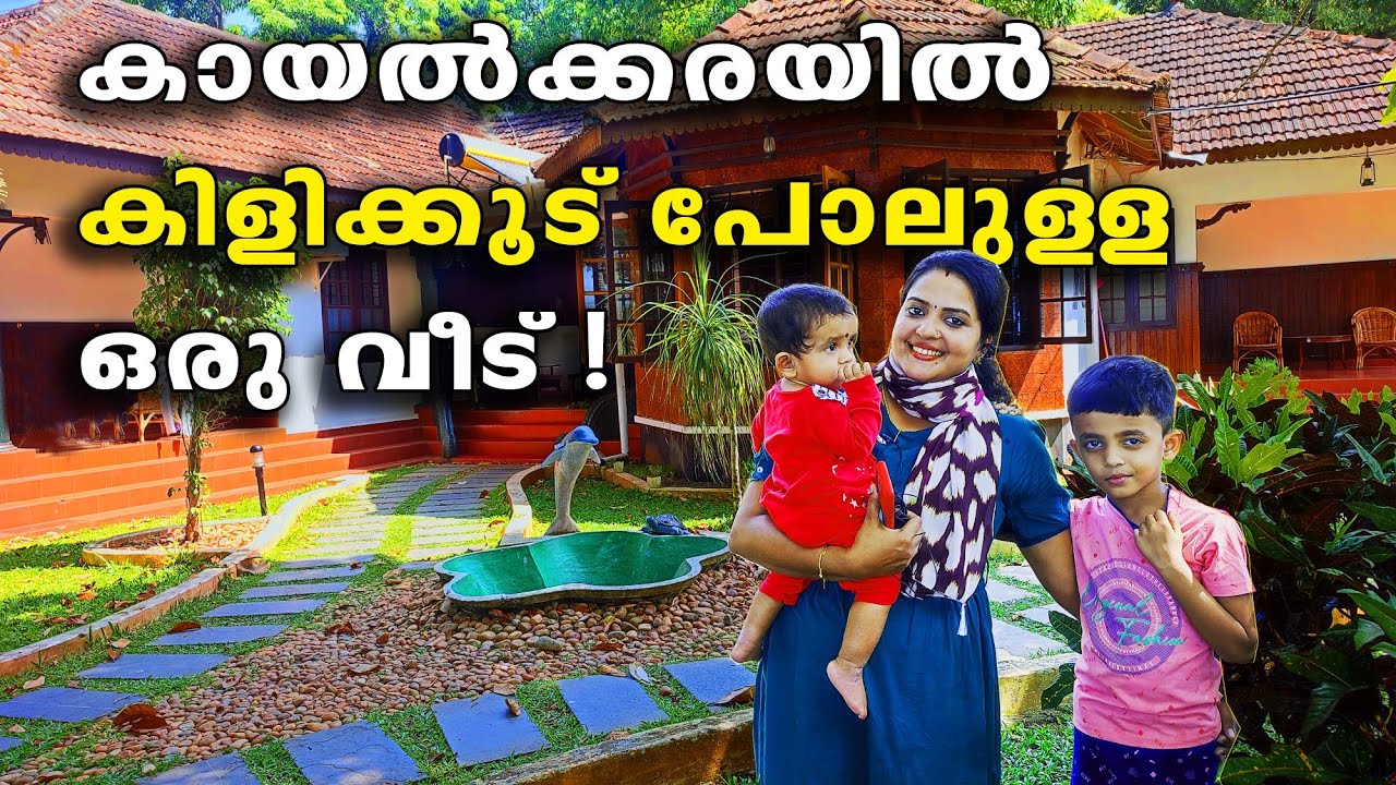 ഒരു കിടിലൻ  Lake resort in Alappuzha || WARMTH LAKE HAVEN Resort Kuttanadu || V R iN tour