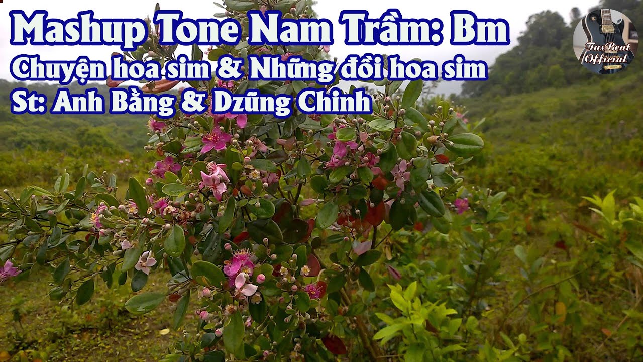 Karaoke Mashup Chuyện Hoa Sim Những Đồi Hoa Sim Tone Nam Trầm | TAS BEAT