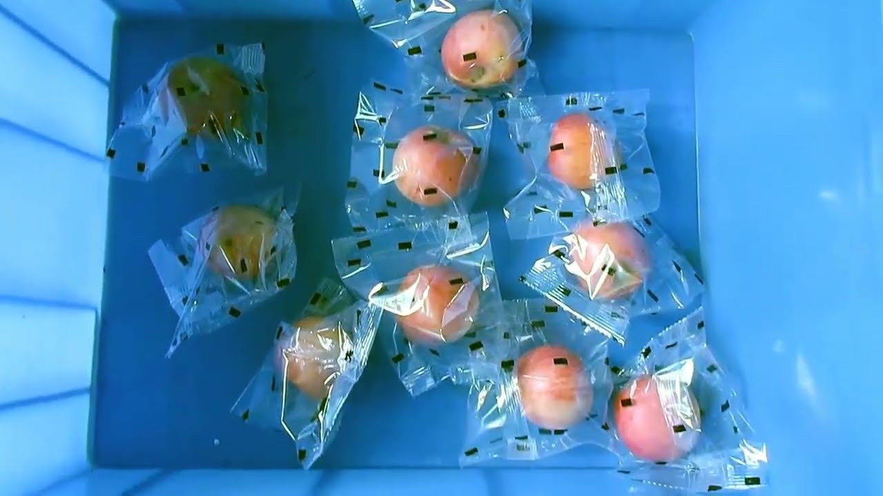 Inclined type pillow wrap packing machine for fruits food snack supermart products etc
