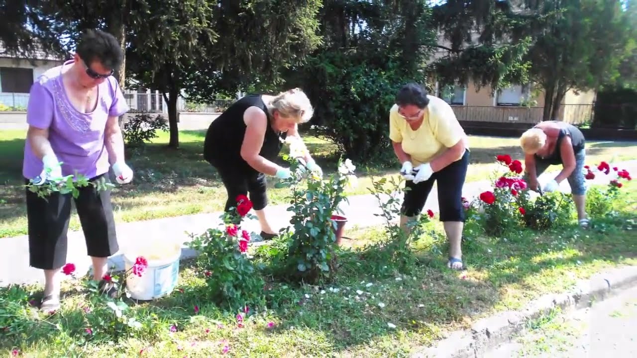A püspökhatvani nyugdíjas klub Rózsa programja