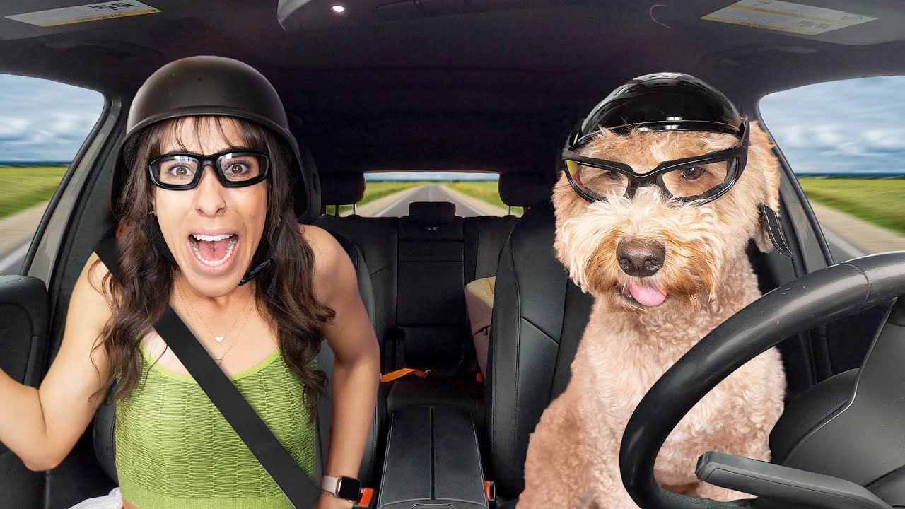 World's Smartest Dog!
