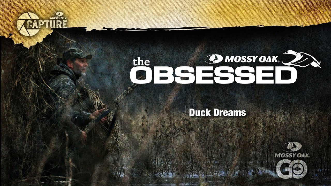 Toxey Haas Duck Dreams - The Obsessed - Duck Hunting