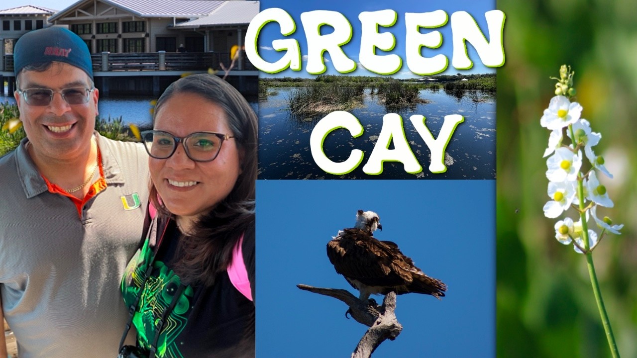 Exploring Green Cay Nature Center and Wetlands