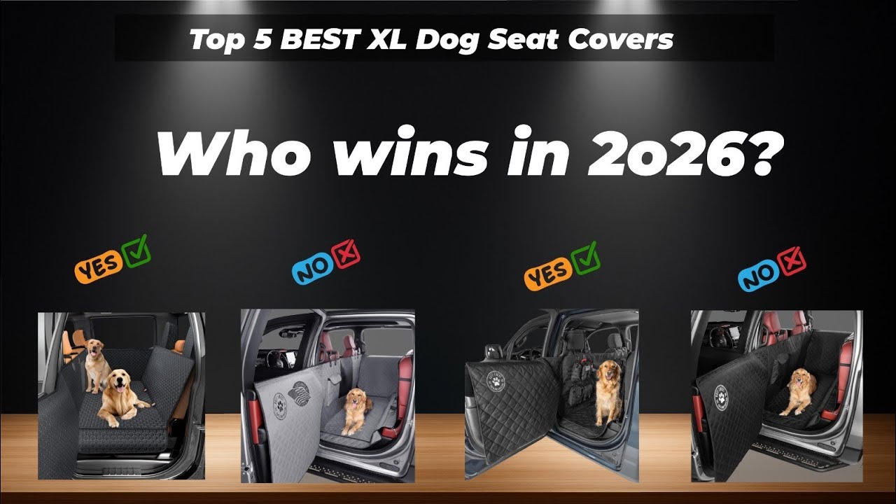 ✅ Top 5 BEST XL Dog Seat Covers [Watch This Before You Make a Choice!]