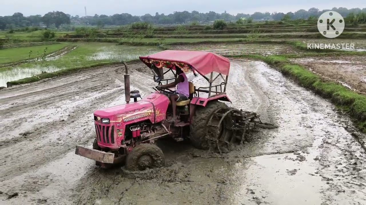 Aaj v tractor phaste phaste bacha || khud ka khet ko driver makhan bana diya dhan 🌾 roopne ke liye||